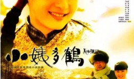 小姨电视剧,温情演绎亲情与成长的故事