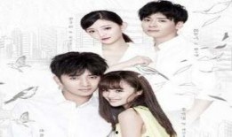 白电视剧,揭秘家族恩怨，探寻人性善恶