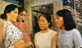 渴望电视剧剧情,情感纠葛与命运抉择的悲欢离合