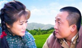 丁大命电视剧,逆境逆袭，笑对人生