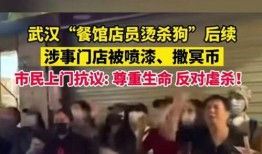 爆料武汉视频,揭秘城市真实面貌
