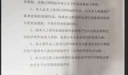 爆料新闻素材怎么拍视频,新闻素材背后的视频制作奥秘