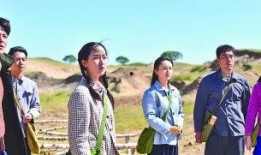 美丽的青春电视剧,梦想起航——