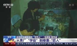 国外网友爆料小六子视频,小六子视频引发热议