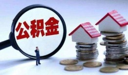 公务员公积金爆料视频,揭秘公积金制度背后的真相