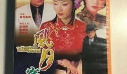 风月电视剧,爱恨情仇的传奇画卷