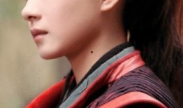 万茜主演的电视剧