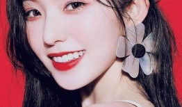 宋智雅韩国博主爆料视频,揭秘幕后真相