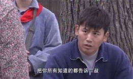 电视剧二叔演员表,实力派明星齐聚一堂，演绎感人亲情故事