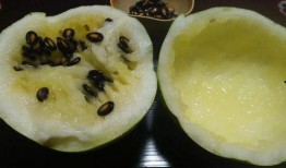 兰州免费吃籽瓜的地方,寻味城市中的甜蜜馈赠”