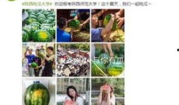 高校吃瓜网站网址免费看,免费畅享校园热点，轻松获取独家资讯