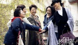 任乔梁演过的电视剧,多面角色演绎，魅力四射的荧屏人生
