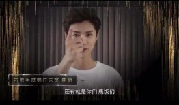 扒叔爆料周讯视频大全集,揭秘娱乐圈幕后真相，视频大全集深度解析