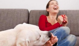 雪梨每日爆料怎么做视频,轻松制作视频教程，掌握短视频制作技巧