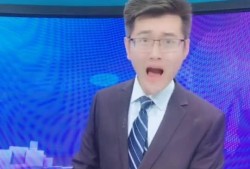 相声主持人爆料新闻,娱乐圈最新热点事件大揭秘