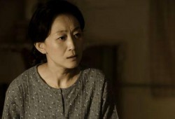 陈瑾主演的电视剧,倾情演绎时代女性的坚韧与成长