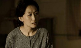陈瑾主演的电视剧,倾情演绎时代女性的坚韧与成长