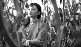 红高粱电视剧多少集,跨越时代的爱情传奇，浓缩于XX集的激情岁月