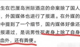 凶杀案爆料范文大全最新,惊心动魄的真相与悬疑追踪