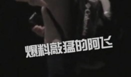 爆料最猛的阿飞视频下载,独家下载，一窥究竟