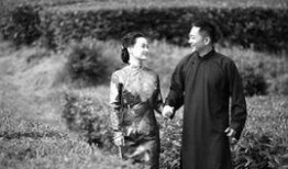 清末民初电视剧,清末民初的动荡岁月