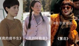 电视剧马伊琍,从奋斗到我的前半生，演绎人生百态