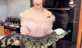 小厨娘被爆料视频大全,视频大全回顾