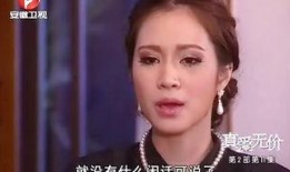 真爱无价国语版电视剧,探寻真挚情感的力量与价值
