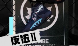 李宁反伍二代爆料视频,揭秘时尚圈幕后恩怨