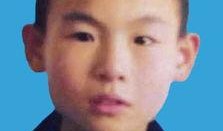 杨展最新爆料新闻,揭秘娱乐圈惊人内幕