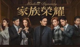 家族电视剧,传承与变迁的岁月传奇