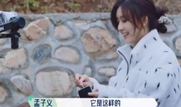 天涯爆料孟子义成毅视频,情感纠葛引热议