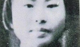 杨展最新爆料新闻,揭秘娱乐圈惊人内幕