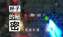 夜枫最新爆料视频大全,揭秘娱乐圈幕后真相