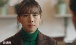 完美  电视剧,探寻人生百态，演绎情感纠葛