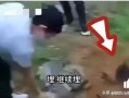 缅北事实爆料是真的吗视频,真相与谎言的交织