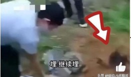 缅北事实爆料是真的吗视频,真相与谎言的交织