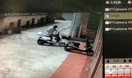 老油条爆料的视频大全集,揭秘视频大全集背后的惊人真相