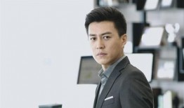 最新靳东爆料新闻报道,揭秘娱乐圈不为人知的幕后真相