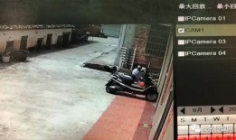 老油条爆料的视频大全集,揭秘视频大全集背后的惊人真相