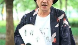 王海爆料章子怡视频在线观看,真相与争议