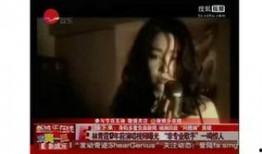 林青霞新书爆料视频大全,独家爆料视频大全背后的故事与情感