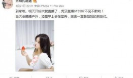 阿阳大哥爆料视频播放,揭秘幕后真相，精彩瞬间回顾