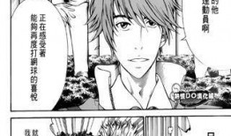 新网球王子漫画,巅峰对决，青春热血再燃战火