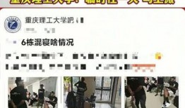 各地留学生爆料事件最新,全球多地校园安全事件频发，紧急关注与应对措施