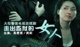 监狱电视剧,揭秘监狱里的真实人生