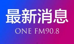 合肥天鹅湖最新爆料新闻