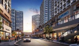 深圳最新爆料电话,神秘电话揭开城市风云背后故事