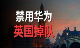 缅北事实爆料是真的吗视频,真相与谎言的交织