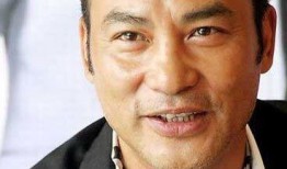 任达华电视剧,演绎传奇人生，电视剧中的英雄本色